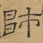 师