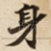 身