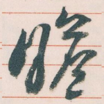 瞻