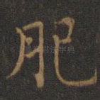 肥