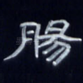 肠