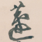 蘧