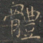 体