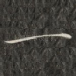 一