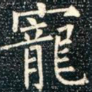宠