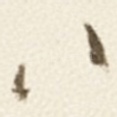 八