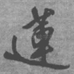 莲