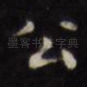 公
