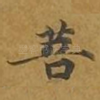 菩
