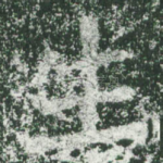 生