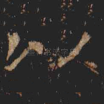 以