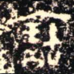 寶