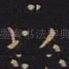 以