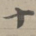十