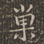 巢