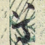 尊