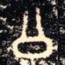公