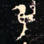 隹