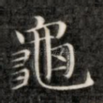 龟