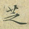 芝