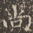 尚