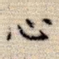心