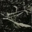 之