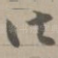 法
