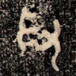 莩