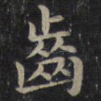 齿