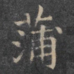蒲