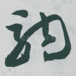 驹