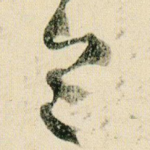 令