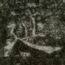 延