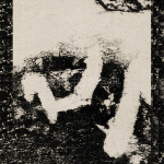 司