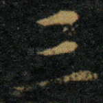 三