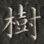 树