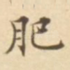 肥
