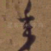 年