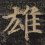 雄