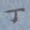 丁
