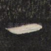 一