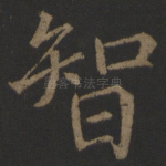 智