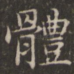 体