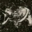 以