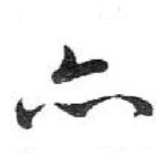 亦