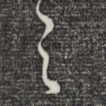 之