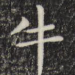 牛