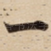 一