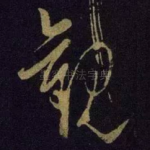 观